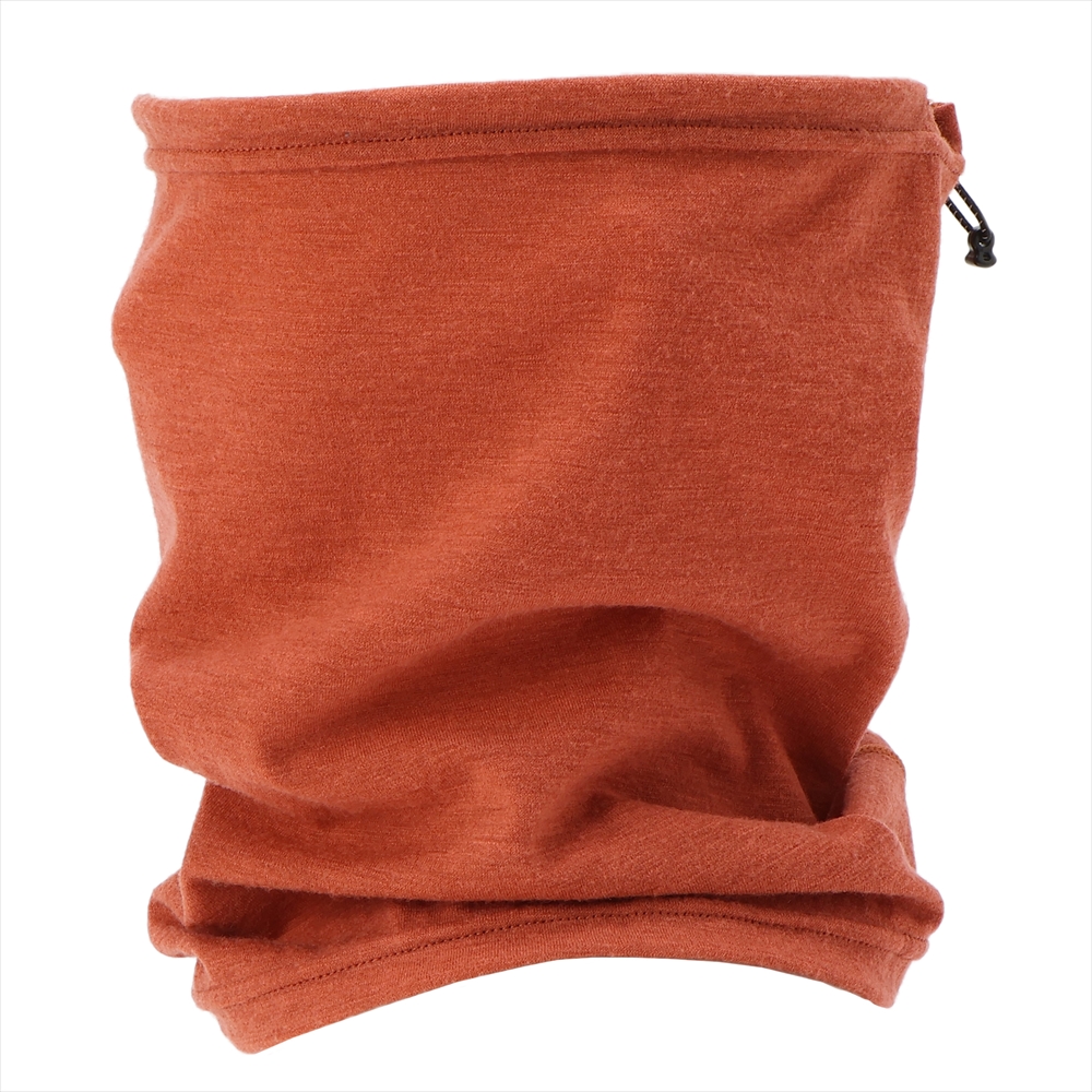 ﾊﾞｰﾝﾄﾌﾞﾘｯｸ