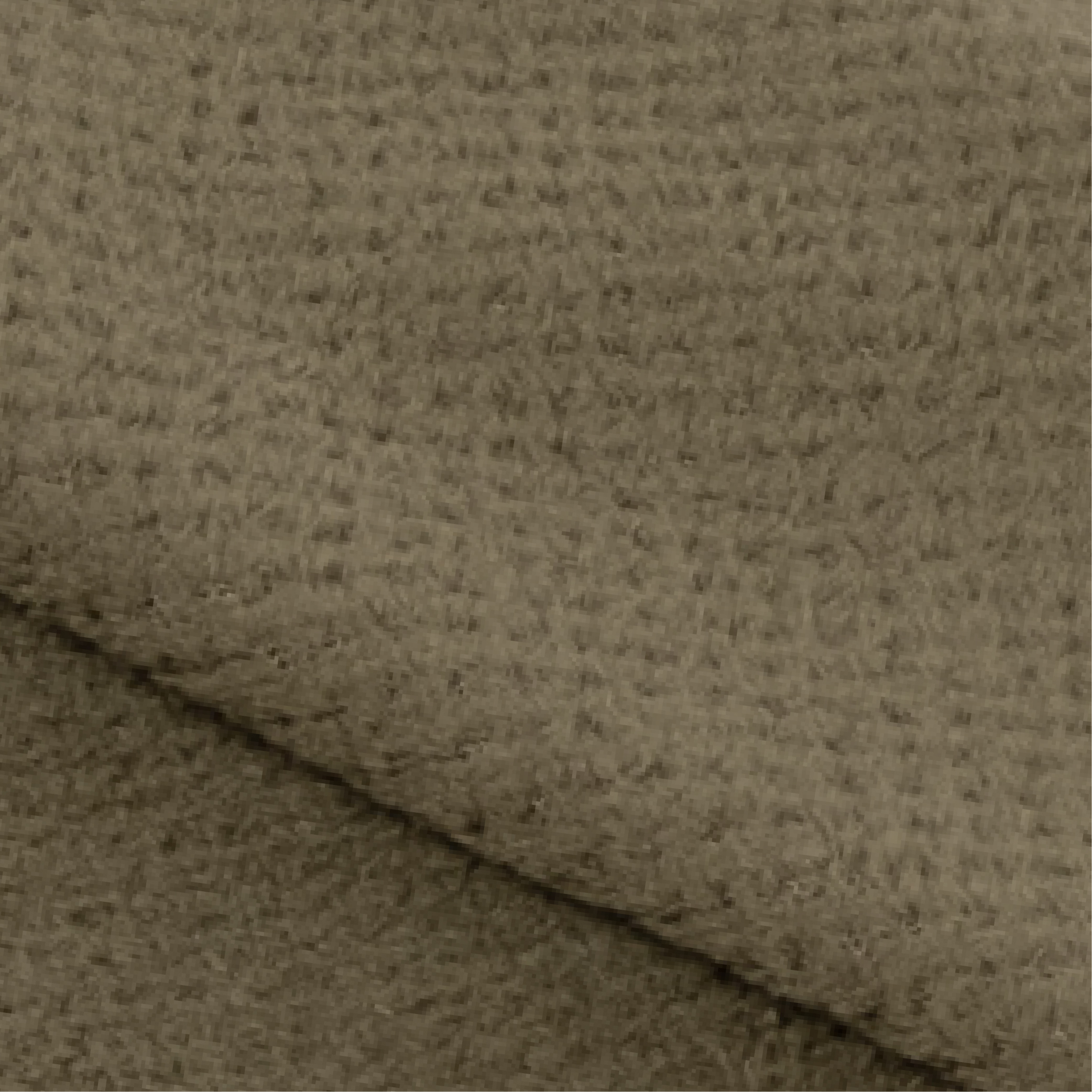 ダスティオリーブ