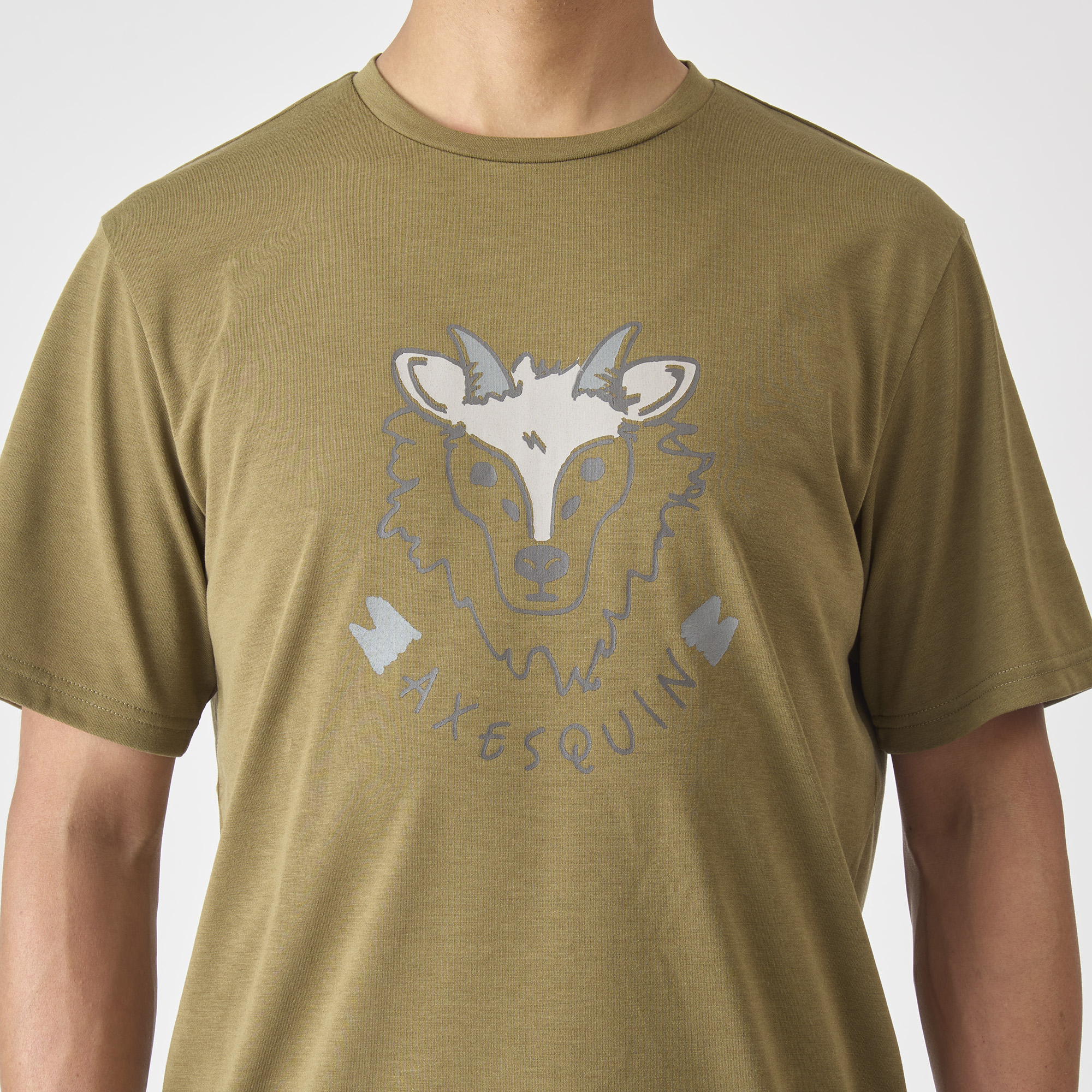 ｴﾙﾑｳｯﾄﾞ