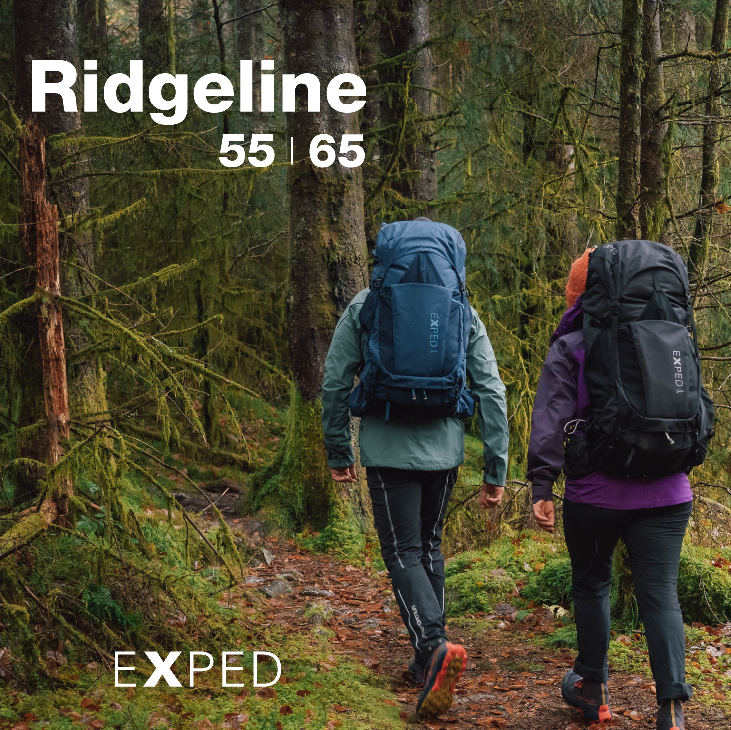 ridgeline-03.jpg